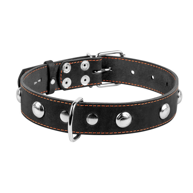 Нашийник одинарний CoLLaR шкіра чорний з прикрасою 02711 (4820082491949)