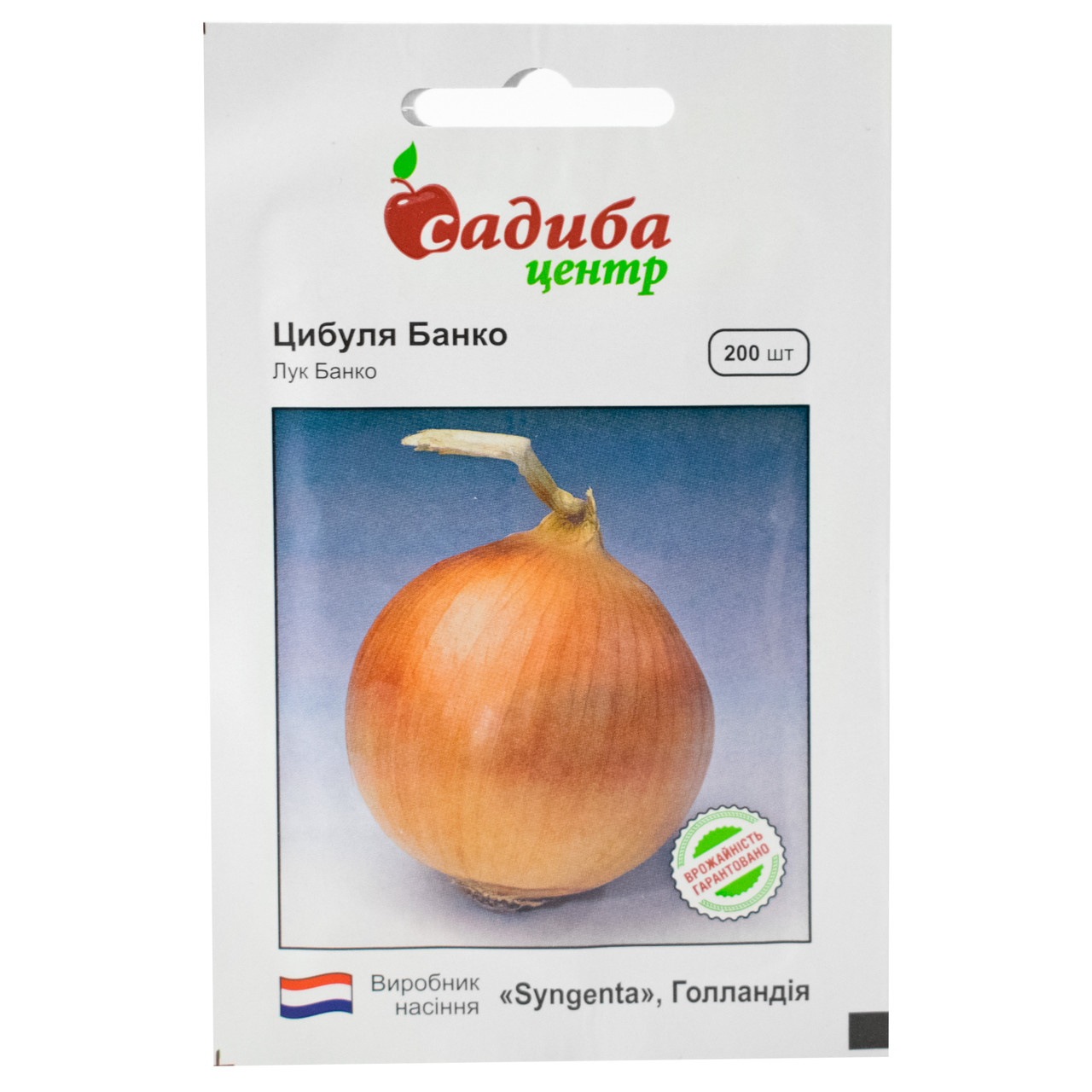 Цибуля Банко 200 шт Syngenta, фото 1