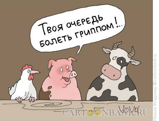 Як правильно лікувати застуду в домашніх умовах.