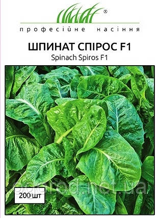 Спірос F1 насіння шпинату Bejo Голландія 1 г