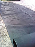 Автодорожка смужка, фото 2