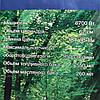 Бензопила Беларусмаш ББП-6700 1 шина 1 ланцюг, фото 9