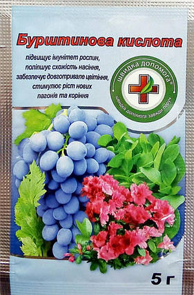 Бурштинова кислота 5 г регулятор росту, фото 1