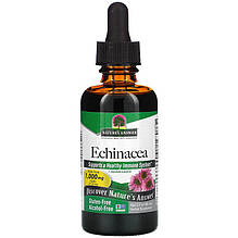 Ехінацея Nature's Answer "Echinacea" без спирту, 1000 мг (60 мл)