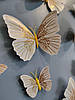 3D- метелики наклейки з магнітами та з наклейкою на стіну білий із золотими блисками 12 шт. набор, фото 3