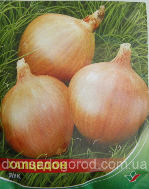 СЕМЕНА ЛУКА ХАЛЦЕДОН 10 г