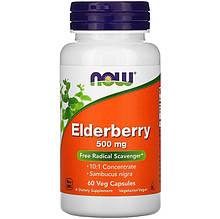 Бузина NOW Foods "Elderberry" концентрат, 500 мг (60 капсул)