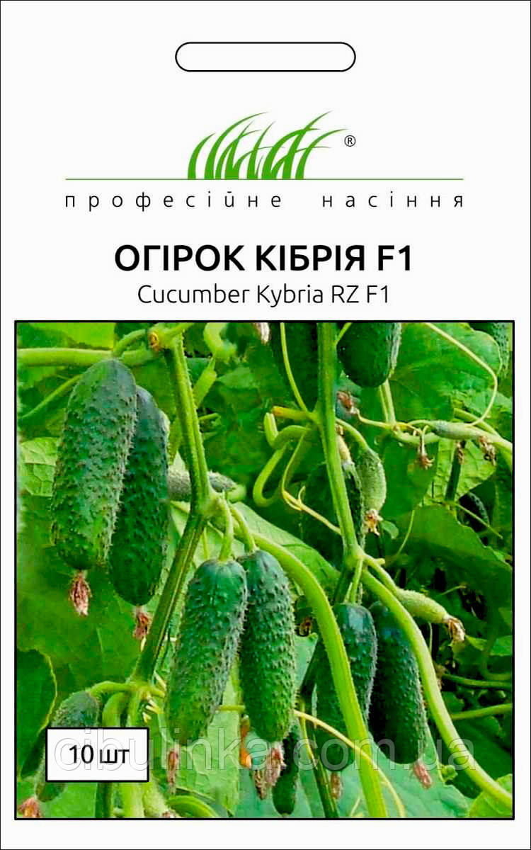 Огірок Кібрія F1 Rijk Zwaan/Нідерланди 10 шт, фото 1