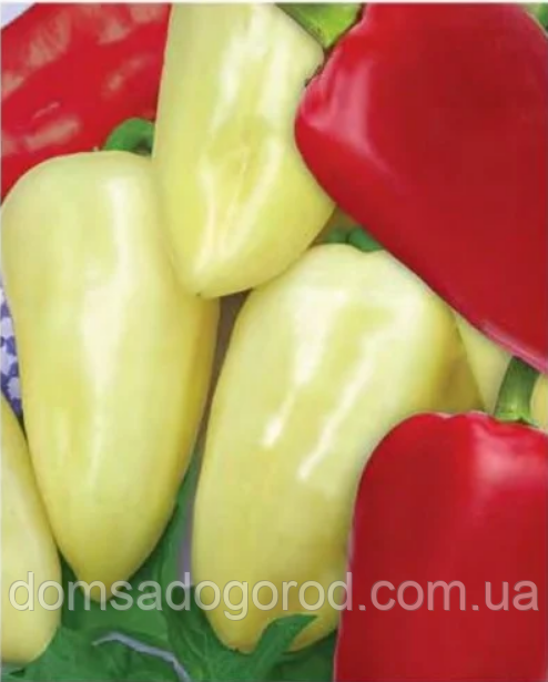 Перець АЙВЕНГО Nasko 1000 шт.