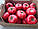Насіння томату Сапфір (Sapfir-1625) F1, 250 шт., рожевого індетермінантного, фото 4