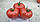 Насіння томату Сапфір (Sapfir-1625) F1, 1000 шт., рожевого індетермінантного, фото 3