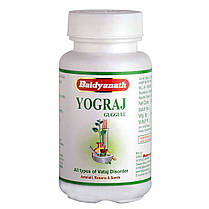 Йогарадж Гуггул/Yogaraj Gugulu (Baidyanath) для детоксикації суглобів, хребта та нирок, 120 таб., фото 5