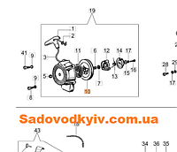 Пусковой шкив для бензинового опрыскивателя Oleo-Mac MB 80 (365000105)