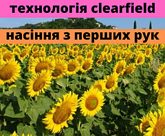 Технології Clearfield (стійкі до Євро-Лайтнингу) і Clearfield + (стійкі до Євро-Лайтнинг плюс).