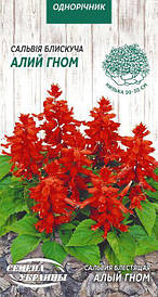 Насіння сальвії