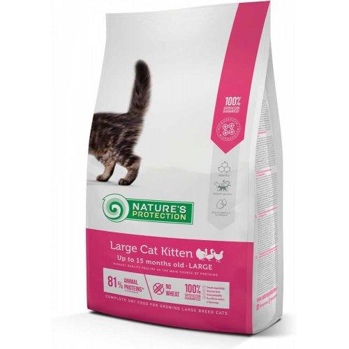 Nature's Protection Large Cat Kitten сухий корм для кошенят великих порід, 2 кг
