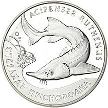 Срібна монета НБУ "Стерлядь прісноводна", фото 3