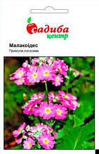 Примула Малакоїдес Лососева 0,01 г
