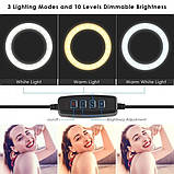 Кільцева Світлодіодна Лампа 26см Ring Fill Light ZD666 для Професійної Зйомки з Пультом Регулювання, фото 3