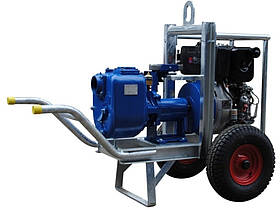 Мотопомпа B85