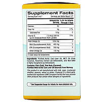 ДГК для дітей дитяча омега-3 з вітаміном D3 California Gold Nutrition,1050 мг 59 мл, фото 4