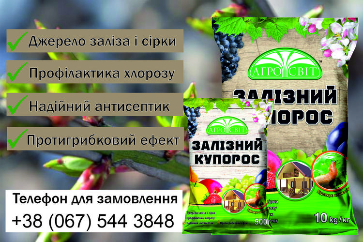 Як вберегти свій сад від хвороб та шкідників?
