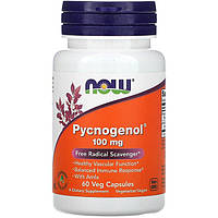 Пикногенол NOW Foods "Pycnogenol" сильный антиоксидант, 100 мг (60 капсул)