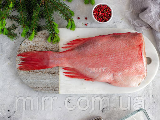 Окунь морський с/м 500+ - фото 1 - id-p1328507701