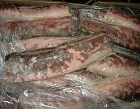 Кінг Кліп с/м