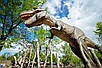 Парк динозаврів "DINO" + тюбінг парк "ВІННІ LAND", фото 4