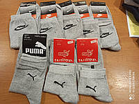 Шкарпетки чоловічі, Adidas, Puma, Fila, Lakosta, середньої висоти, розмір 41-45, бавовна.