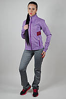 Жіночий спортивний костюм Nike (0359-3) (Найк). Туреччина, осінній весняний, жіночі спортивні костюми