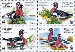 WWF, качки, 4 м у квартблокі; 20, 30, 40, 60 коп 10.10.1998