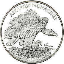 Срібна монета НБУ "Гриф чорний", фото 4