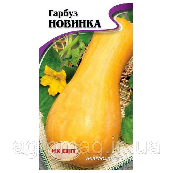 Гарбуз Новинка 10 шт.