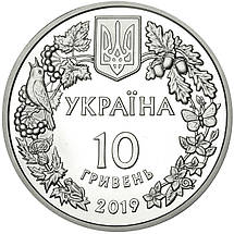 Срібна монета НБУ "Орлан-білохвіст", фото 5