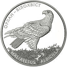 Срібна монета НБУ "Орлан-білохвіст", фото 4