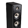 Підлогова акустика Polk Audio Signature S55e, фото 7
