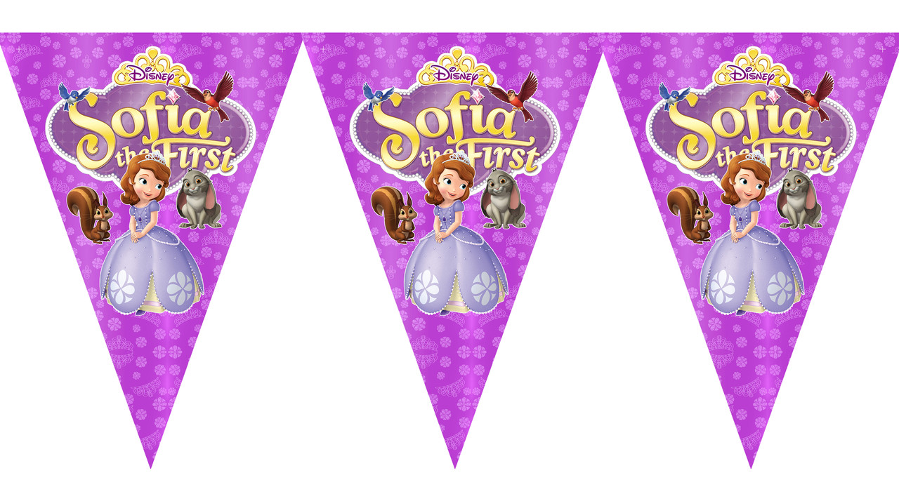 "Софія Прекрасна" - Вимпел Трикутники, 10 прапорців., фото 1