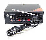 Підсилювач звуку BM AUDIO BM-600BT FM USB Блутуз + Караоке, фото 10