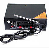 Підсилювач BM AUDIO BM-700BT USB Блуцуз 300W+300W 2х канальний, фото 10