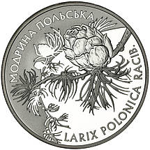 Срібна монета НБУ "Модрина польська", фото 3
