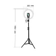 Селфи світло зі штативом 2в1 кільцева світлодіодна LED лампа набір блогера Baseus Live Stream Holdr-floor Stand, фото 3