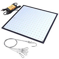 Світлодіодна фітолампа високої потужності для рослин