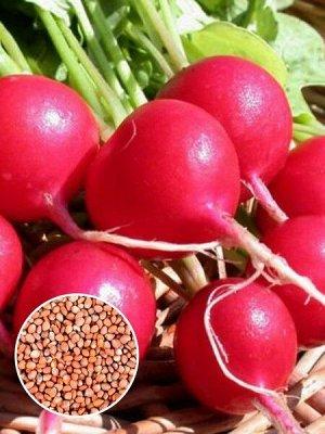 Редис Ням Ням 3 г Agromaksi