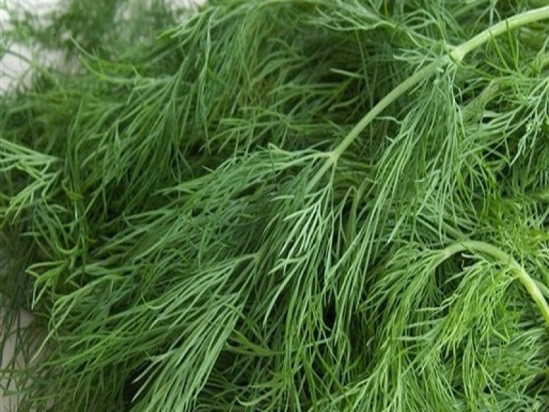 Кріп Балконне диво 2 г Agromaksi