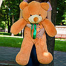 Плюшеві ведмеді: Плюшеве ведмежа Рафаель 1 метр (100 см), Карамельний, фото 2