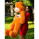 Плюшеві ведмеді Плюшевий ведмедик 1 МЕТР, Рожевий, фото 2