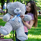Плюшеві ведмеді: Плюшеве ведмежа Томмі 1 метр (100 см), Сірий, фото 2