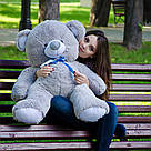 Плюшеві ведмеді: Плюшеве ведмежа Томмі 1 метр (100 см), Сірий, фото 3